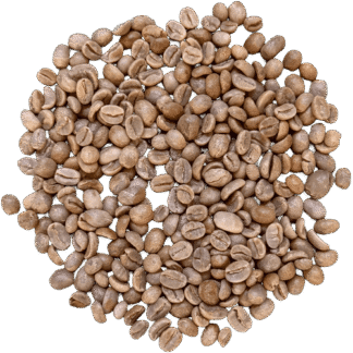 Costa Rica Jaguar Honey - honey processed green coffee (1 kg)