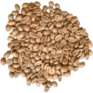 Ethiopia Tero Farm - beard dried green coffee (1 kg)