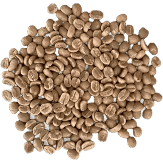 Kenya Kangurumai - washed green coffee (1 kg)