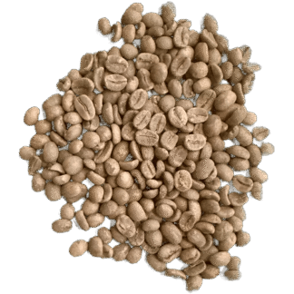 Nicaragua San José – tvättat råkaffe (1 kg)