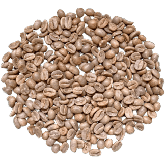Peru Villa Rica CEMCAVIR – Honey-Processed Green Coffee (1 kg)